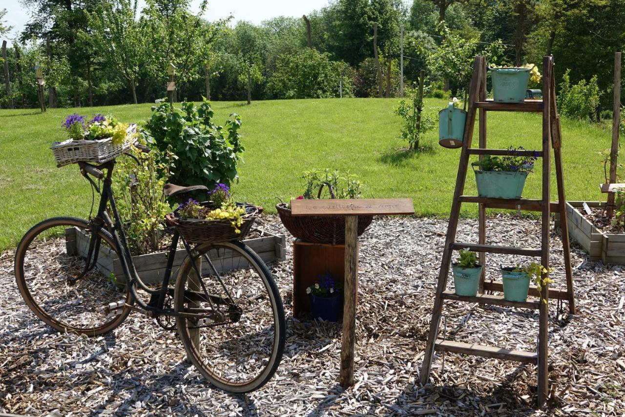 ホテル Le Manoir Des Aromes Brugny-Vaudancourt エクステリア 写真
